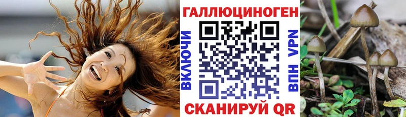 Галлюциногенные грибы мицелий  Полярный 